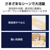 ラベルシール 表示・宛名ラベル レーザープリンタ 12面 四辺余白付 20シート EDT-ECNLL12BS20 エレコム 1個（直送品）