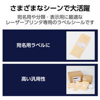 ラベルシール 表示・宛名ラベル レーザープリンタ 18面 上下余白付 20シート EDT-ECNLL18S20 エレコム 1個（直送品）