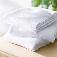 サワショウ タオルセット HI-2440 1個（直送品）