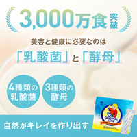 日本ケフィア 16包入オリジナルケフィア×1袋 4955079122015 1袋(16包入)（直送品）