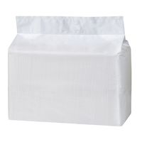 業務用 薄型シート レギュラー 100枚 1箱 シーズイシハラ ペットシーツ