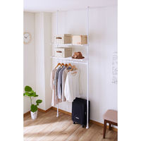 平安伸銅工業 突ぱり収納ハンガーラック WH TNP-5 1個（直送品）