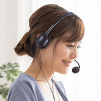 サンワサプライ  4極対応ヘッドセット MM-HS408BK（直送品）