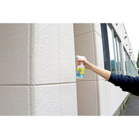 さらば!!カメムシッスプレー 300ml 4573572010525 1セット(1個×2)