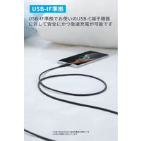 Anker 310 高耐久ナイロン USB-C&USB-A ケーブル 2本セット