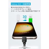 Anker 310 & USB-C ケーブル 3.0m