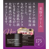 プラチナレーベル　ヒト幹細胞培養液配合クリーム　175g　ドウシシャ
