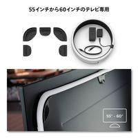 シグニファイジャパン Play グラデーションライトリボン TV 55-60インチ専用 PHTV55 1箱（直送品）