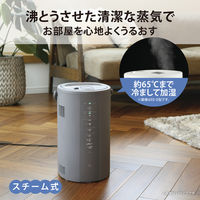 象印マホービン スチーム式加湿器 EE-DE35-HA 1個
