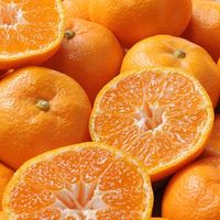 フルーツワールド 2024【御歳暮】のし付き 愛媛みかん[2kg] fw-em2kg 1箱（直送品）