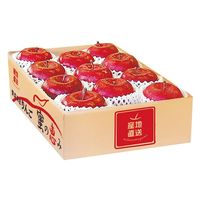 アデリー 2024【御歳暮】のし付き 青森県産 サンふじ林檎 蜜の恵み ASR-E0S 1箱（直送品）