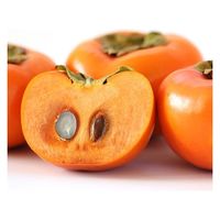 アデリー 2024【御歳暮】のし付き ひらたの富有柿(個包装)12個 FYK-C6S 1箱（直送品）