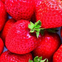 アデリー 2024【御歳暮】のし付き 福岡あまおう AMO-2 1箱（直送品）