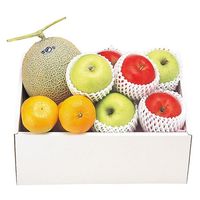 アデリー 2024【御歳暮】のし付き 旬のフルーツギフト AD-SFT50 1箱（直送品）