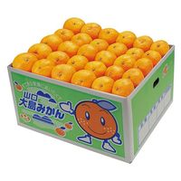 アデリー 2024【御歳暮】のし付き 山口大島みかん(秀) OSM50 1箱（直送品）