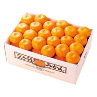 フルーツワールド 2024【御歳暮】のし付き 静岡県産 三ヶ日みかん[4kg] fw-mib4k 1箱（直送品）