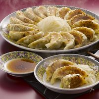 アイエスワイ 2024【御歳暮】のし付き 静岡B級グルメ浜松餃子45粒 HG-3 1箱（直送品）