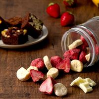 アデリー 2024【御歳暮】のし付き ホシフルーツ 果実とショコラ 8個 HFKC-001 1箱（直送品）