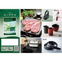 アピデ タークアス 1個（直送品）