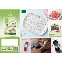 アピデ 光風(こうふう) 1個（直送品）