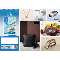 アピデ 白波(しらなみ) 1個（直送品）