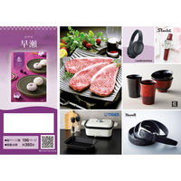 アピデ 早瀬(はやせ) 1個（直送品）