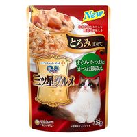 銀のスプーン 三ツ星グルメ とろみ仕立て まぐろ・かつおにかつお節添え 35g 4袋 キャットフード パウチ