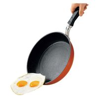 ヒロショウ プレミアシェフ フライパン 26cm 4900634002516 1個（直送品）