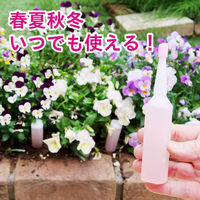 紀陽除虫菊 活力剤(草花・鉢花用)35ml×10本入 K-2617 1セット(10個)（直送品）