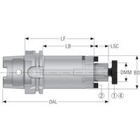 セコ・ツールズ・ジャパン セコ ツーリング HSK HSKA100-SM22-100-F3L1 1個 489-9034（直送品）
