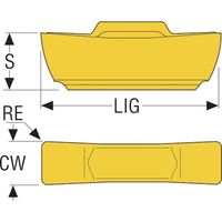セコ・ツールズ・ジャパン セコ 旋削 MDT溝入れ用インサート TGP25 LCMF130304-0300-MC 1セット(10個)（直送品）