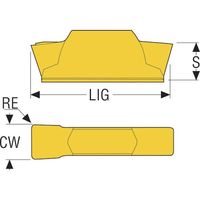 セコ・ツールズ・ジャパン セコ 旋削 MDT溝入れ用インサート TGP25 LCMR160504-0500-FT 1セット(10個)（直送品）