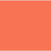 ペベオ・ジャポン ペベオ アクリリックマーカー 「5ー15mm」チズルフラットオレンジ 201705 1本 548-7158（直送品）