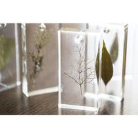 ペベオ・ジャポン ペベオ バイオベース・クリスタルレジンキット150ml(主剤100ml+硬化剤50ml) 766141 1個（直送品）