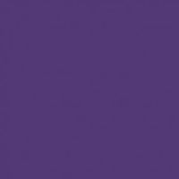 ペベオ・ジャポン Pebeo 【油性リキッド顔料】 フルイドピグメント20ml バイオレット 650666 1個 556-1067（直送品）