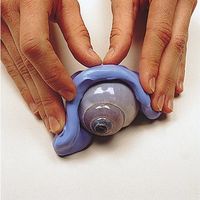 ペベオ・ジャポン ペベオ Gedeo 型取り用粘土 シリガム 100g 766309 1個 557-2392（直送品）