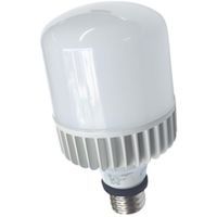 セフティー SAFETY 仮設照明 E39LED電球 バラストレス水銀灯500W相当 屋外対応 SH40-TL-TR 1本（直送品）