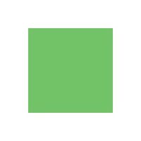 ペベオ・ジャポン ペベオ 布用水性アクリル絵具セタカラー透明色 45ml ライトグリーン 329027 1本 575-8805（直送品）