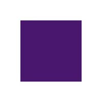 ペベオ・ジャポン ペベオ 布用水性アクリル絵具セタカラー透明色 45ml パルマバイオレット 329029 1本 576-0314（直送品）