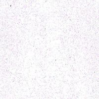 ペベオ・ジャポン ペベオ 布用水性アクリル絵具セタカラーグリッター 45ml ダイアモンド 329204 1本 575-8802（直送品）