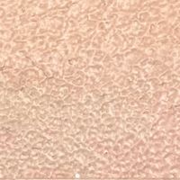 ペベオ・ジャポン Pebeo セタカラーレザー(革用)マット色 45mlNO.19 ピンクベージュ 295619 1本 607-2946（直送品）