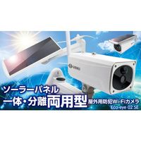 ダイトク グランシールド 防犯カメラ エコ・アイ02SE GS-SLB02 1個 660-8718（直送品）