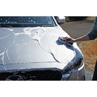 ソフト99コーポレーション SOFT99 ALAUNEN アワテクシャンプー 02901 1本 652-4106（直送品）