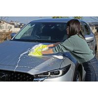 ソフト99コーポレーション SOFT99 ALAUNEN ヤワラカイザー 洗浄用クロス 02902 1個(1枚) 652-4103（直送品）