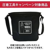 ロブテックス エビ 【数量限定 キャンペーン品】AK2MA+電工バケツセット AK2MALOBDB02SET 1セット 652-6360（直送品）