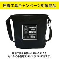 ロブテックス エビ 【数量限定 キャンペーン品】AK17A+電工バケツセット AK17ALOBDB02SET 1セット 652-6362（直送品）