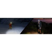 Fenix 充電式LEDヘッドライト HM65R-TV20 1個 659-2697（直送品）