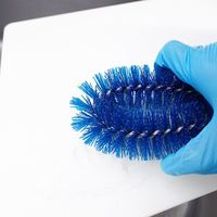 バーテック 衛生管理用たわし バーキュートプラス Mハード青 BCPーKYAーTAーMHB 62826201 1個 667-1173（直送品）
