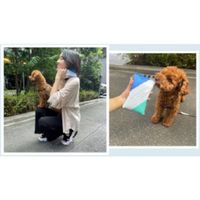 アイ・ティ・イー アイスバッテリーフレッシュAVA(保冷ポーチ付き) IBF-A01 1袋(1セット) 578-5726（直送品）