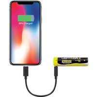 ライティンゲイルジャパン ライティンゲイル プロ仕様マルチワークライト ブラックスミス LTG1005 1パック 587-7361（直送品）